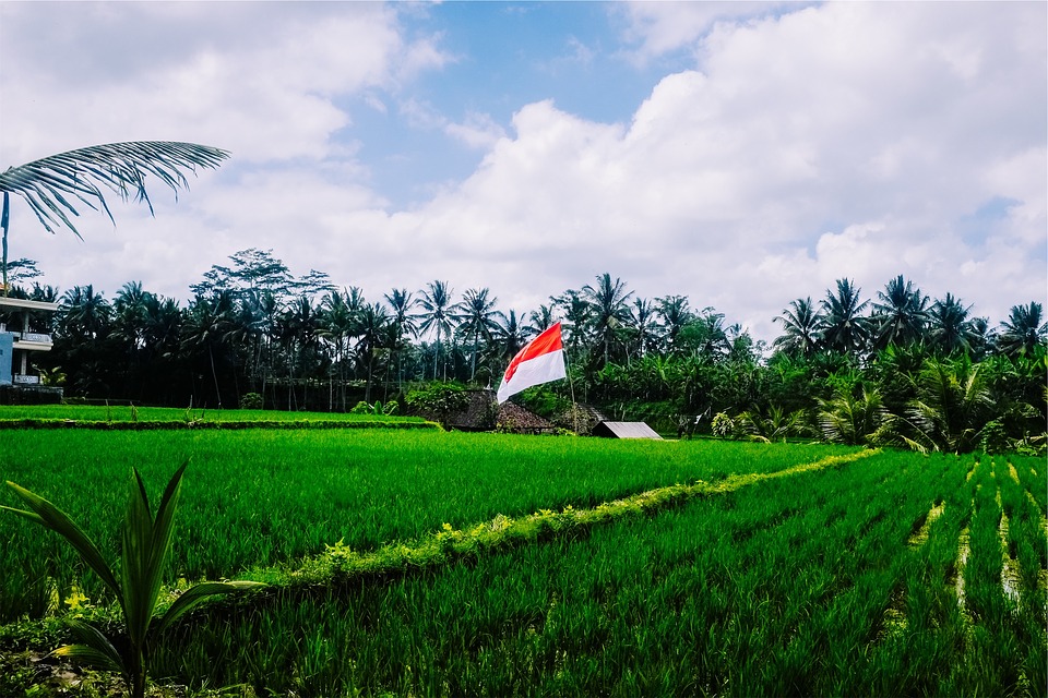 Komite CEDAW