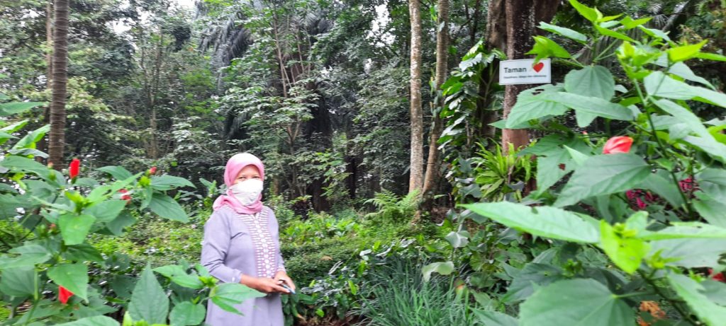 taman